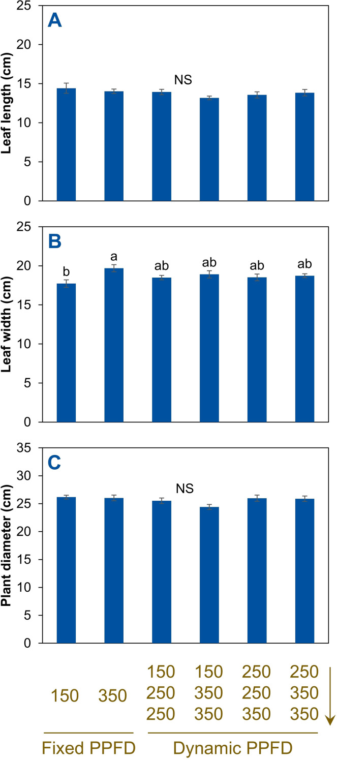 Figure 5