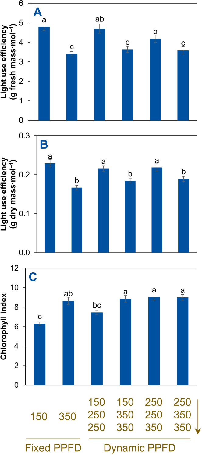 Figure 6