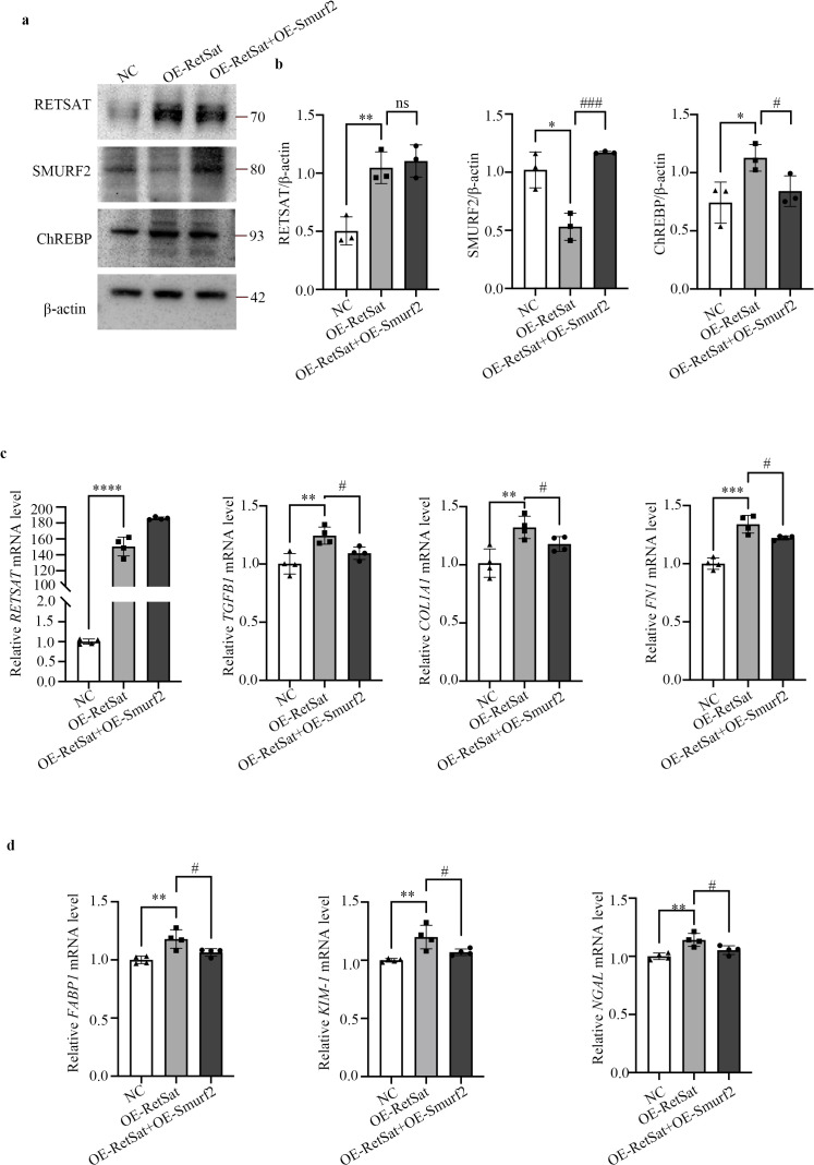 Figure 5
