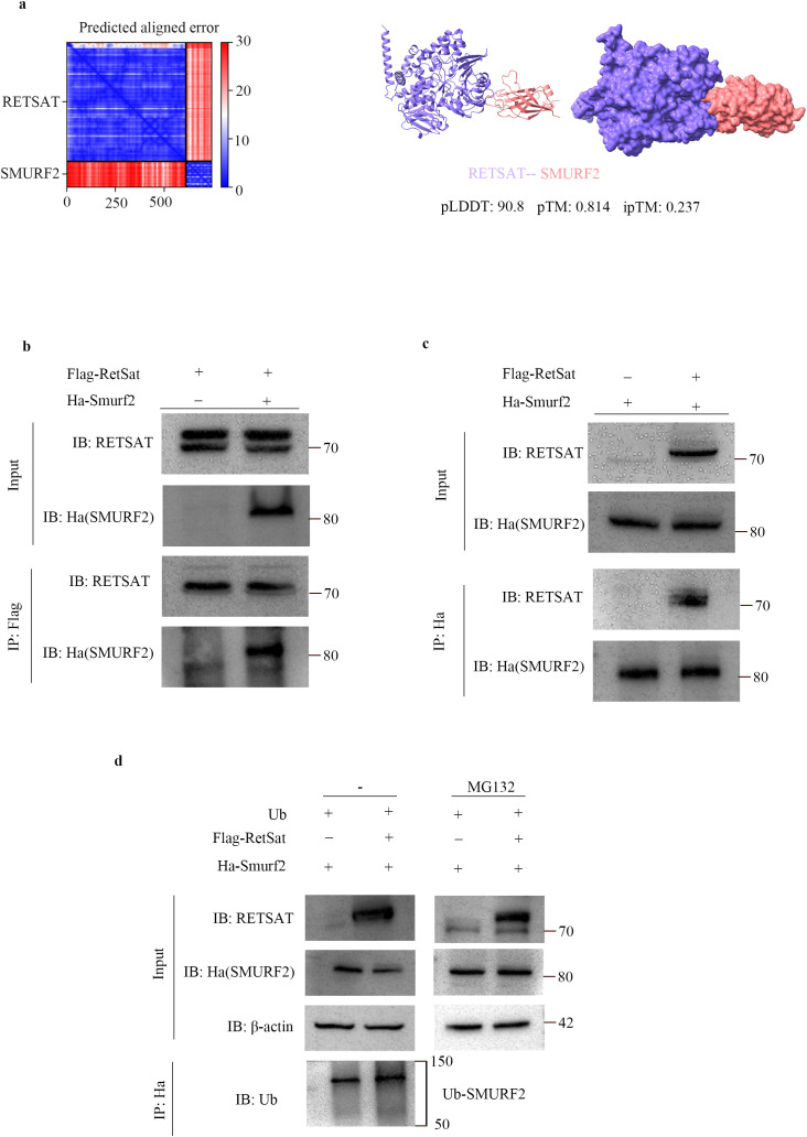 Figure 6