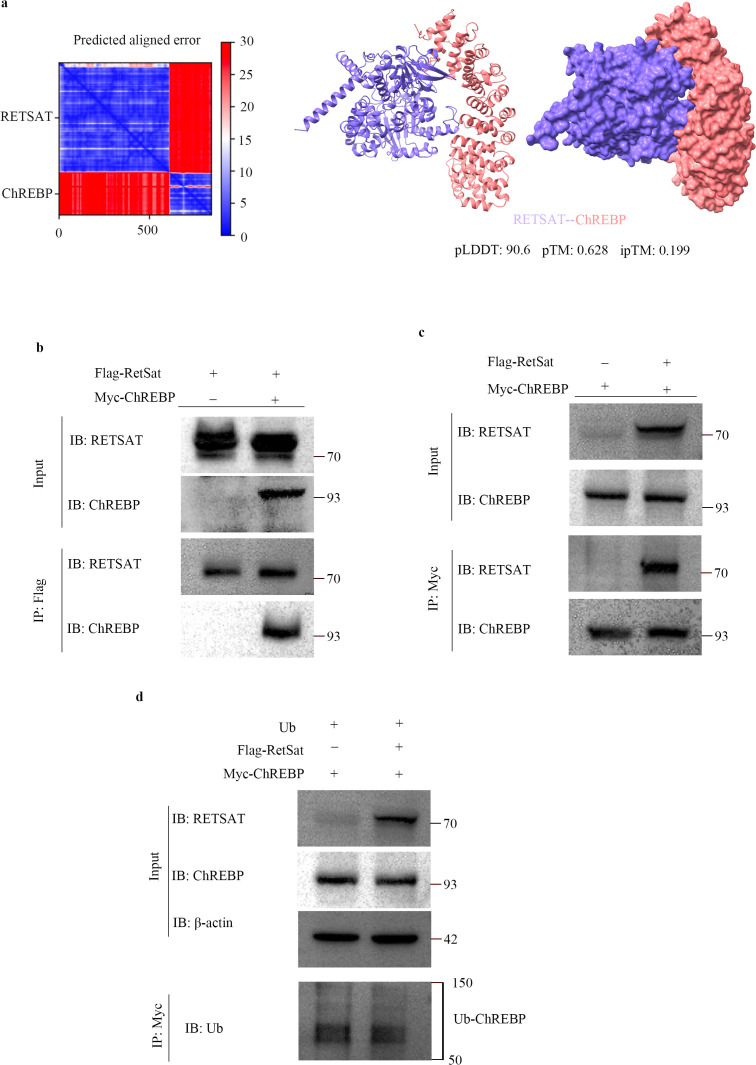 Figure 7