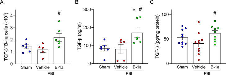 Figure 6