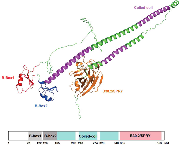 Figure 1