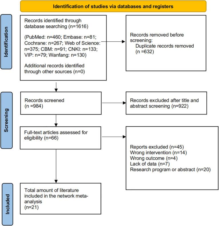 Figure 1