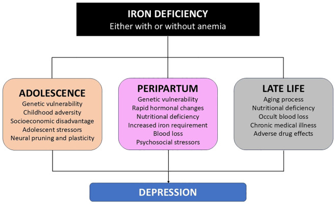 Figure 1