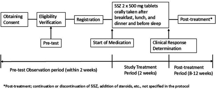 FIGURE 1