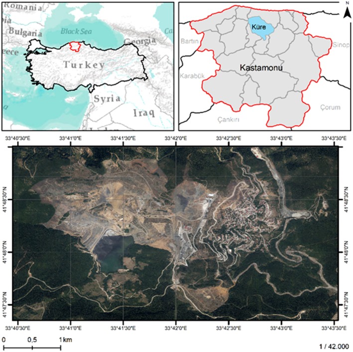 FIGURE 1