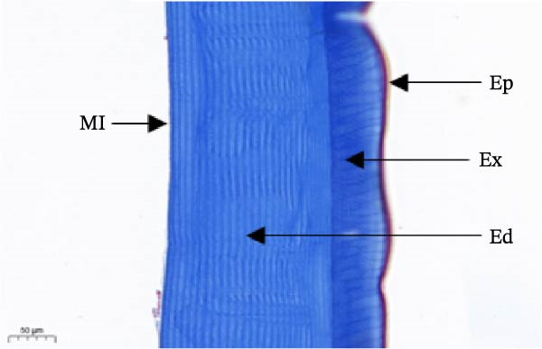 Figure 22