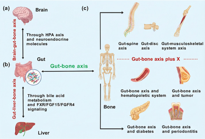 Figure 4