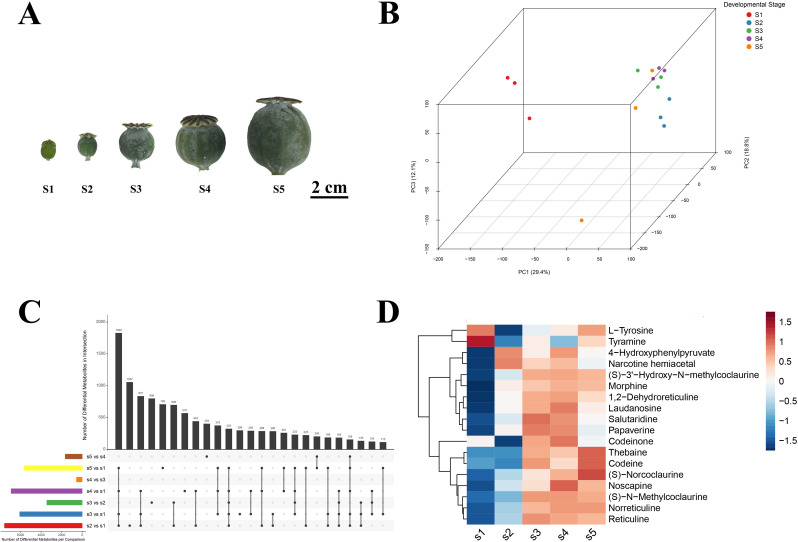 Figure 1