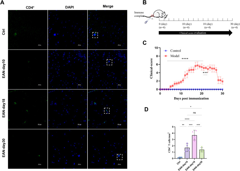 Figure 4