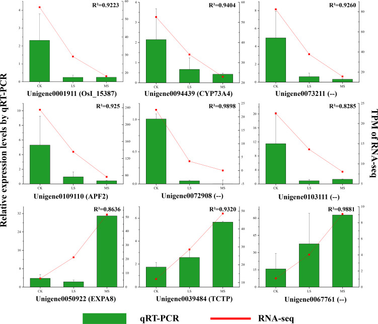 Figure 6