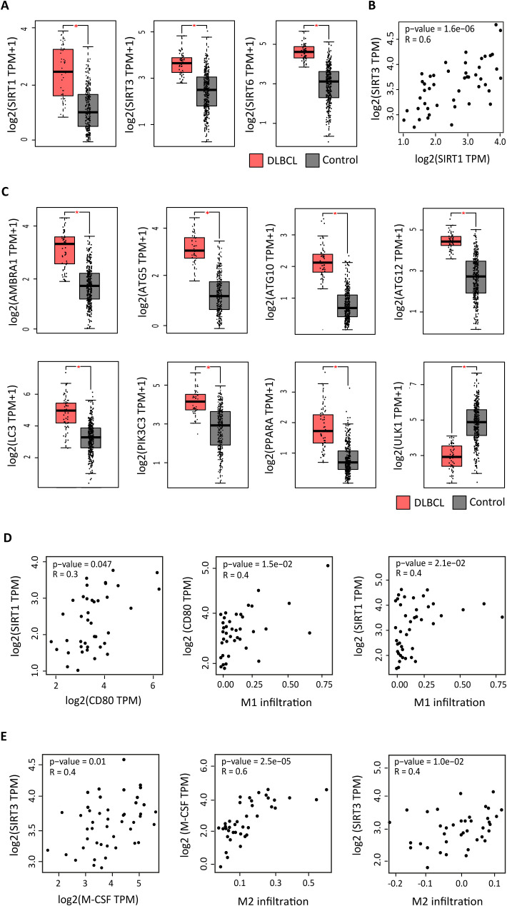 Figure 1