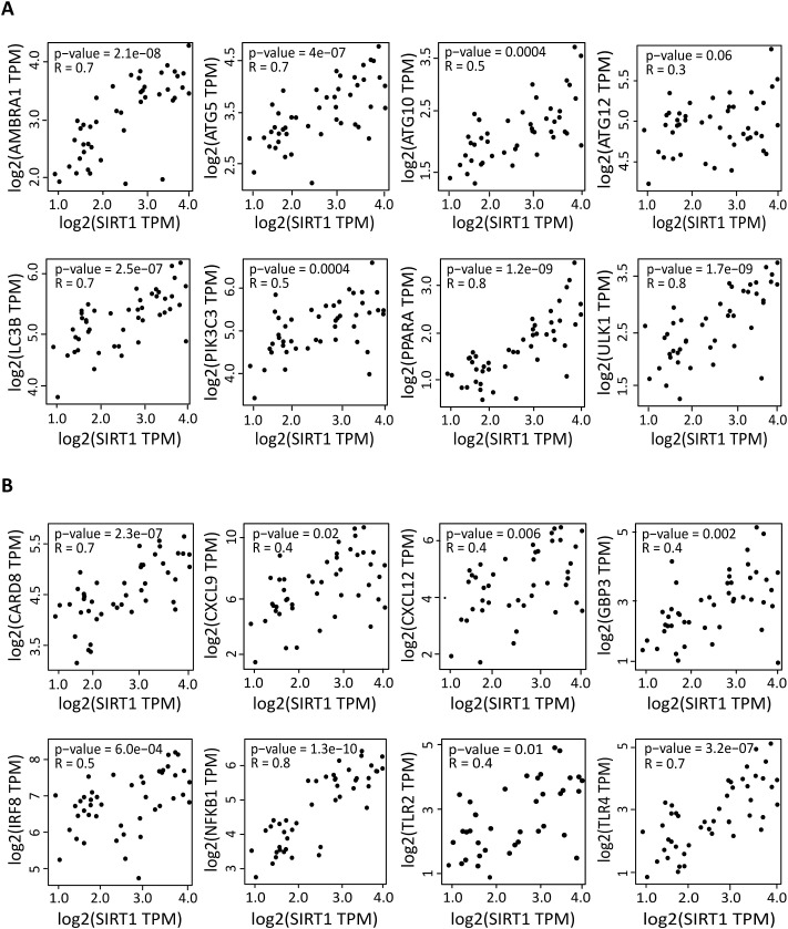 Figure 2