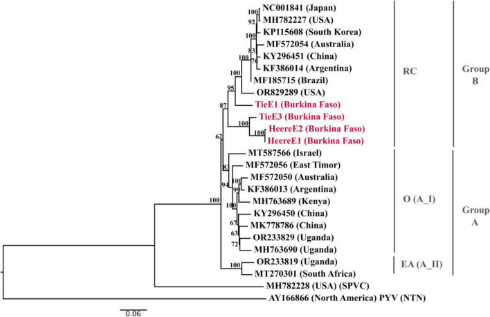 FIGURE 4