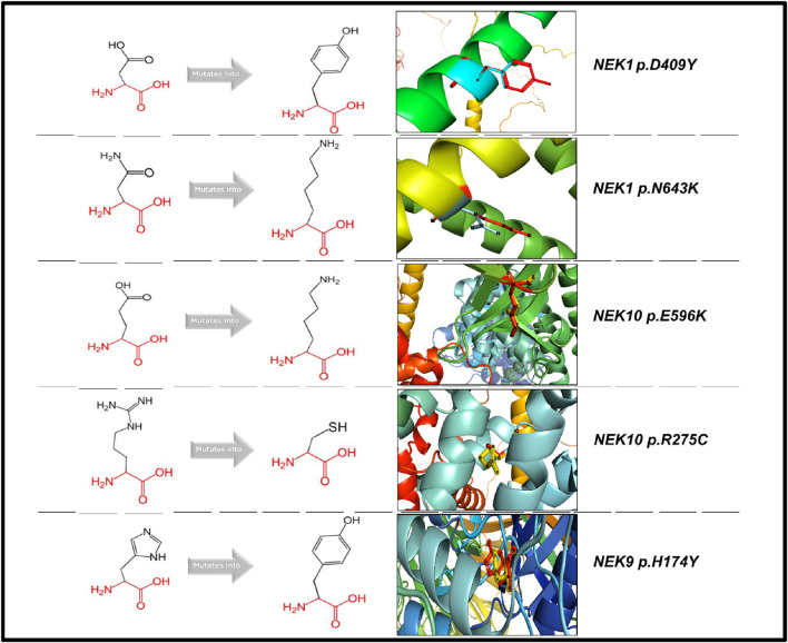 FIGURE 9