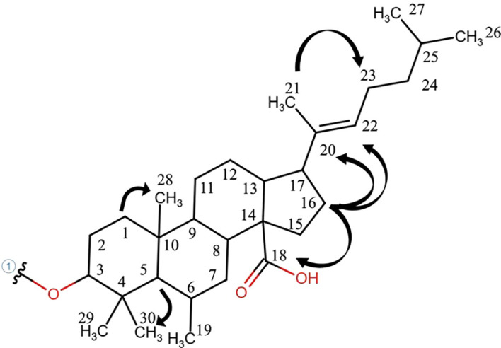 Figure 3