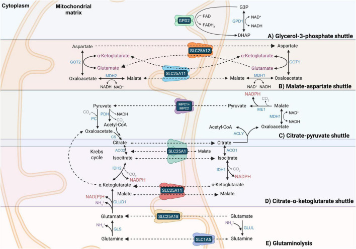 FIGURE 2