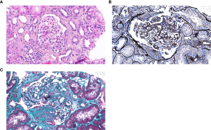 Figure 2