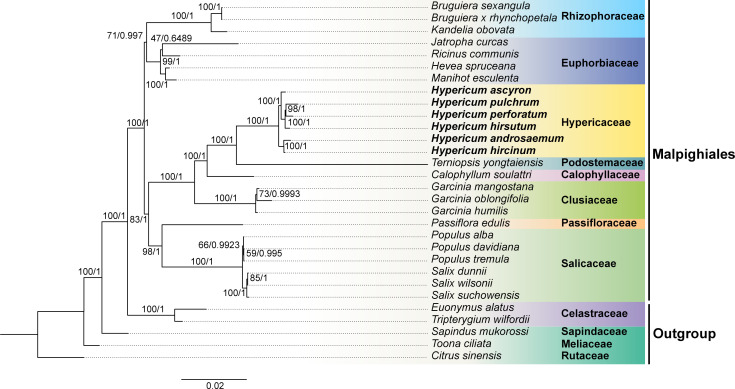 Figure 6