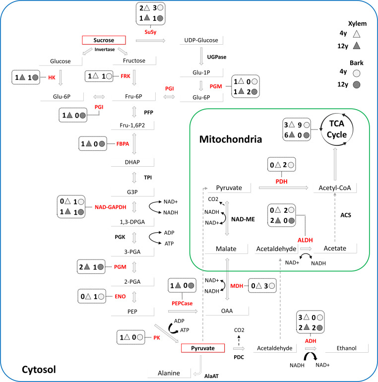 Figure 3