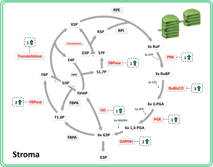 Figure 4