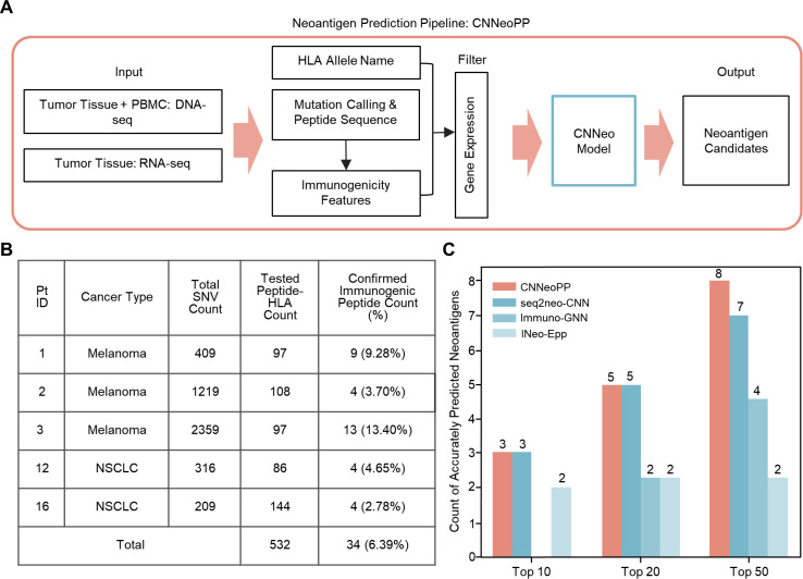 Figure 4