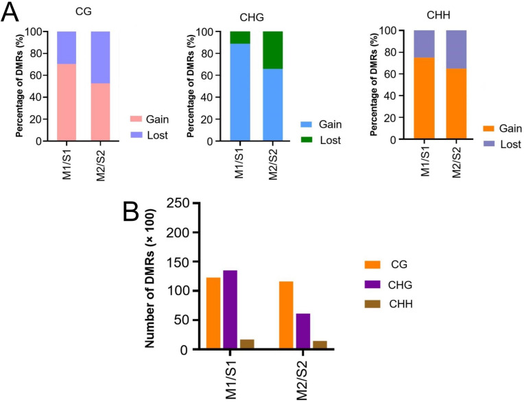 Figure 3