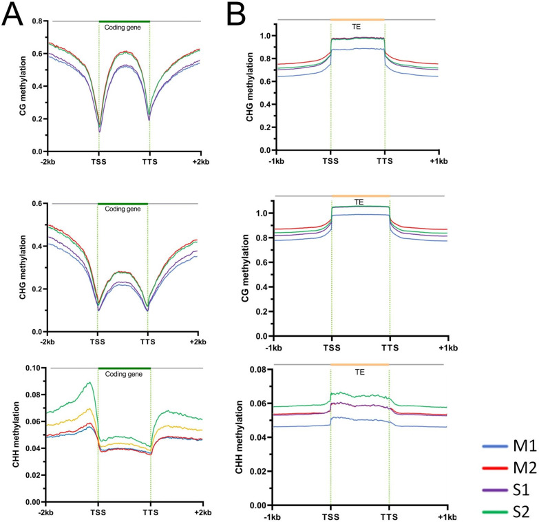 Figure 4