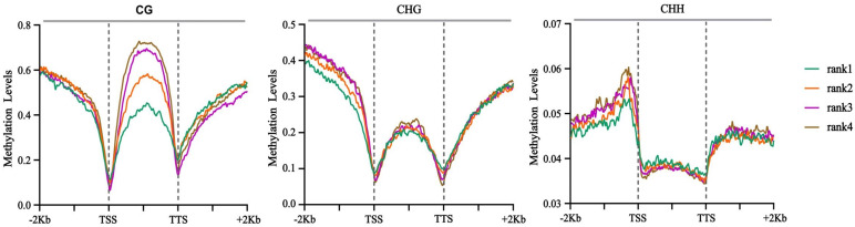 Figure 5