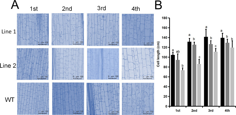 Figure 10