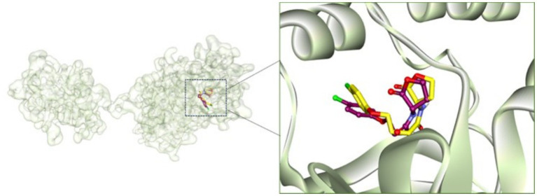 Figure 7