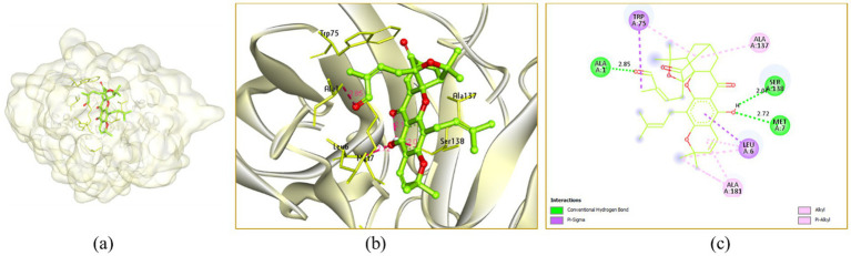 Figure 9