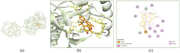 Figure 10