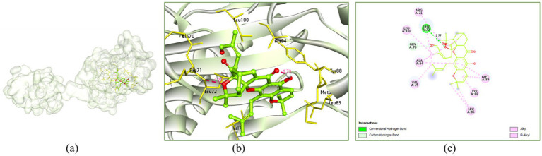 Figure 11