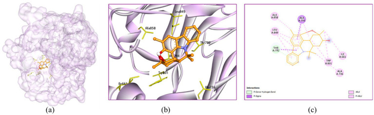 Figure 12