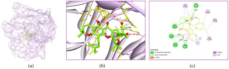 Figure 13
