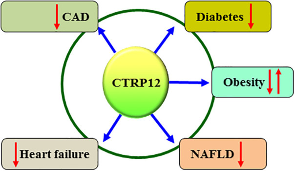 Figure 3