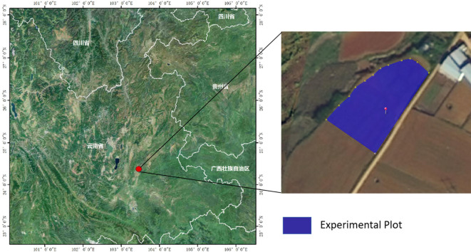 Figure 1
