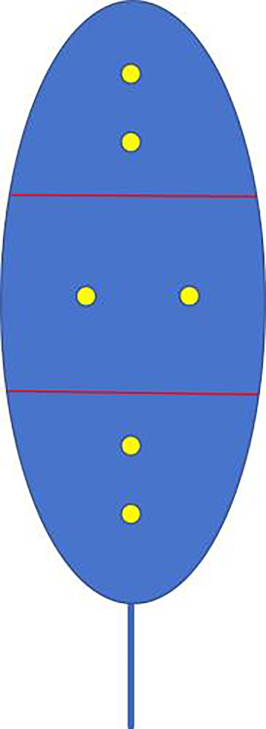 Figure 2