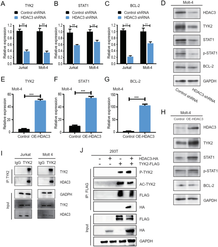 Figure 6