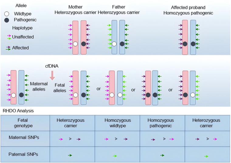 Figure 3