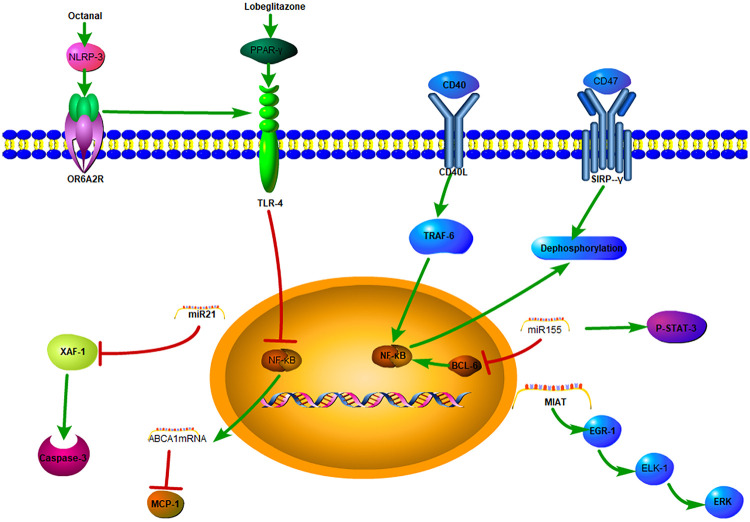 Figure 2