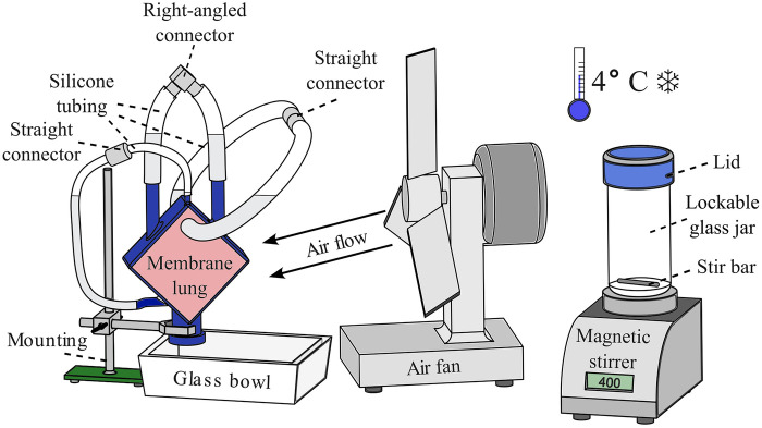 Figure 4