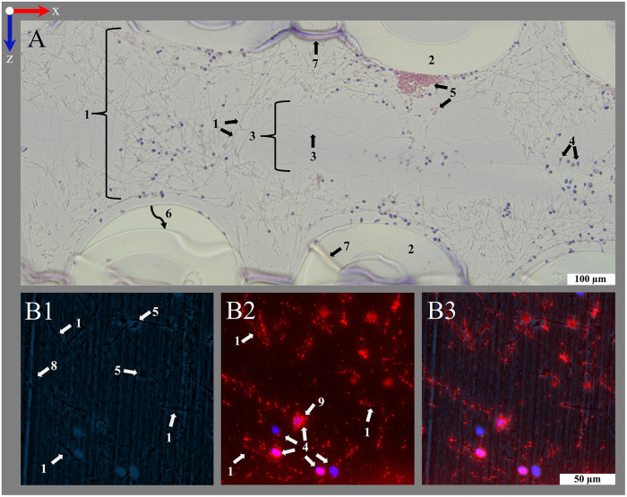 Figure 10