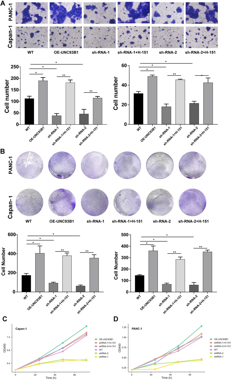 Figure 13