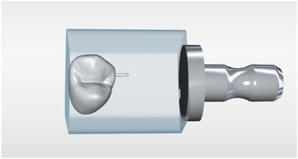 Figure 1
