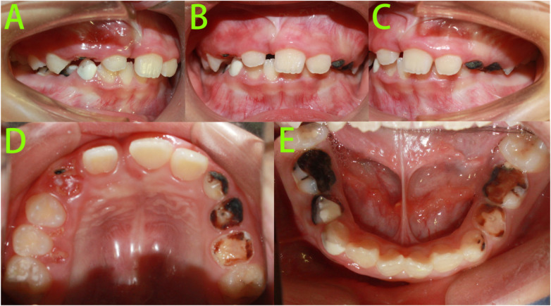 Figure 1