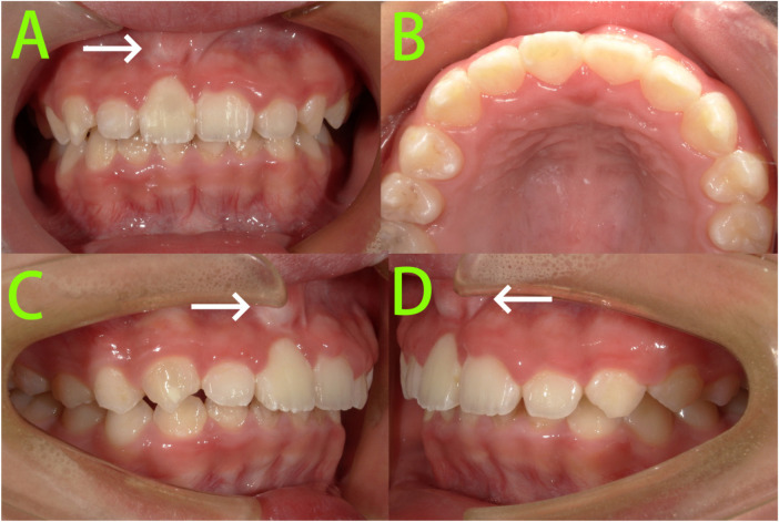 Figure 5
