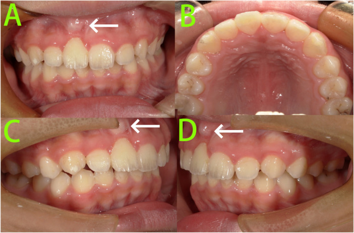 Figure 7